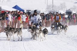 Lenk 2013